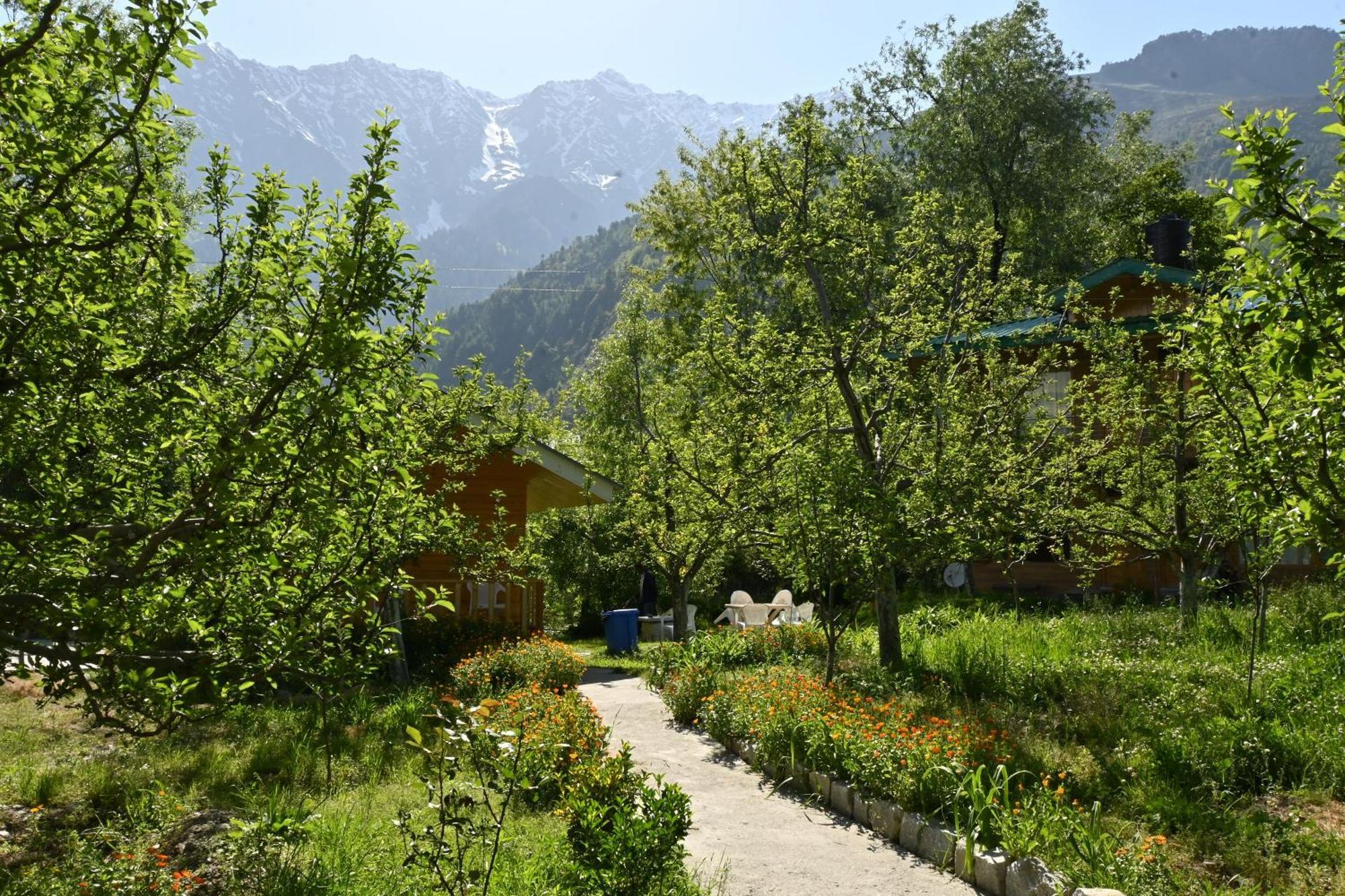Cascade Mountain Retreat Manali Bed & Breakfast Exterior photo